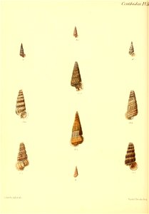 n487_w1150