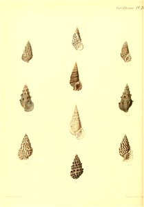 n353_w1150