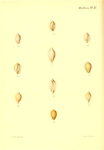 n219_w1150