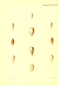 n151_w1150