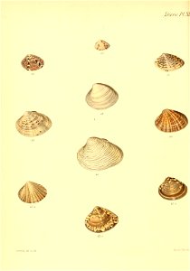 n513_w1150