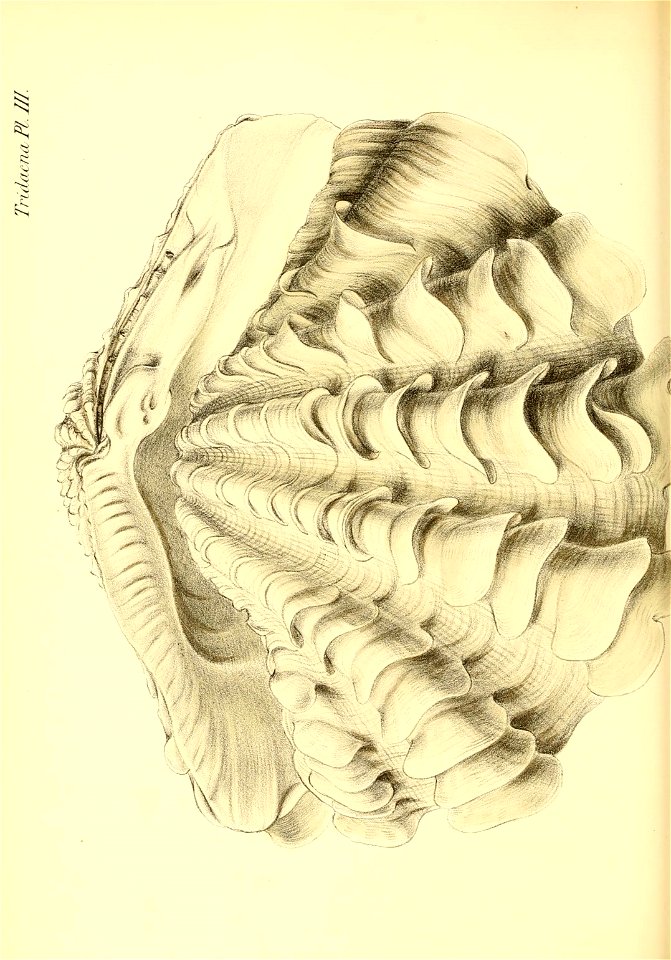 n253_w1150