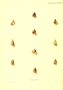 n185_w1150
