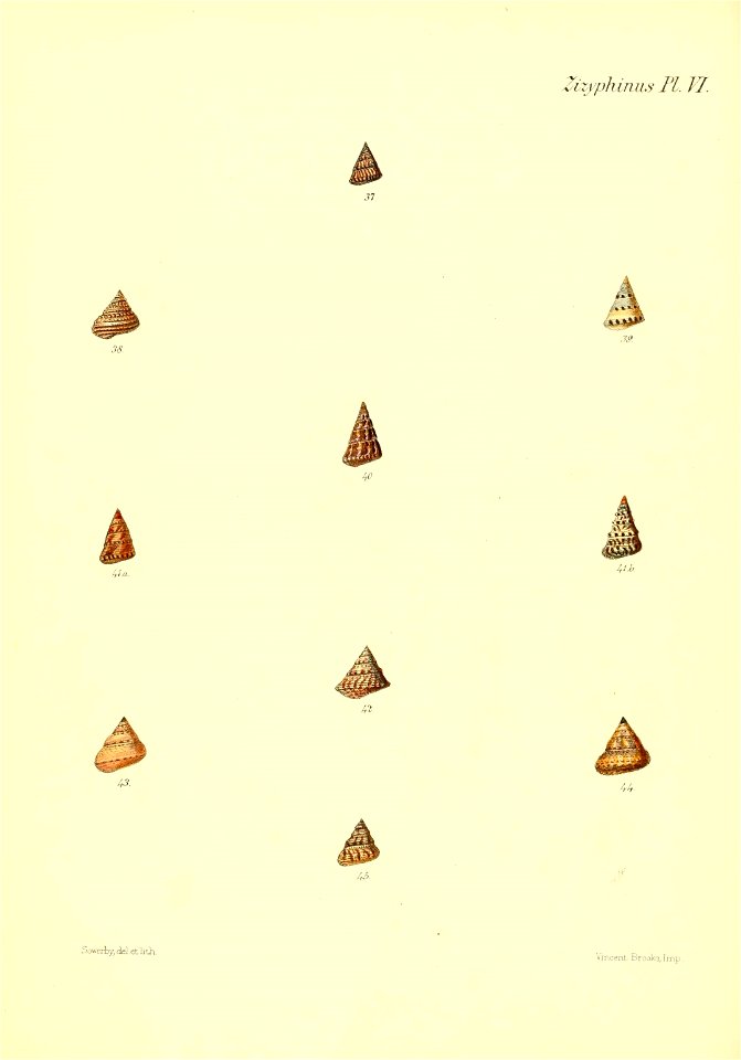n47_w1150