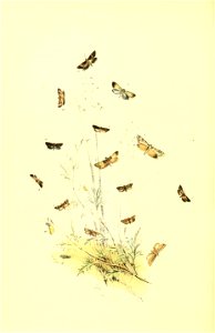 n285_w1150