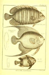 n466_w1150