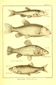 n436_w1150