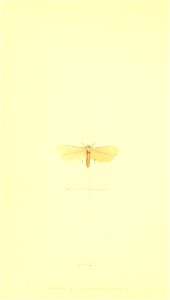 n573_w1150
