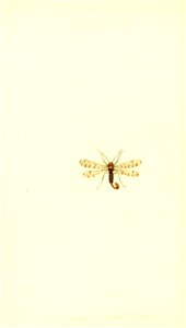n213_w1150