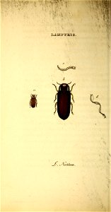n123_w1150