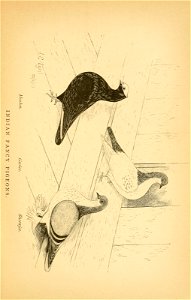 n158_w1150