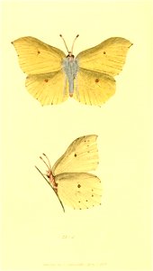n637_w1150