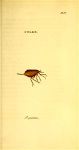 n202_w1150