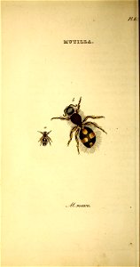 n121_w1150