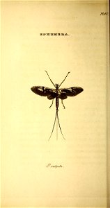 n39_w1150