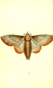 n197_w1150