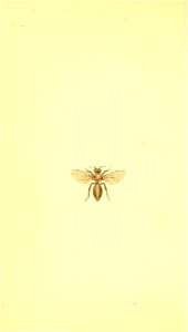 n133_w1150