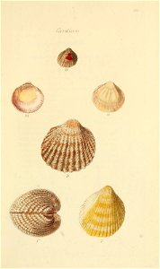 n58_w1150
