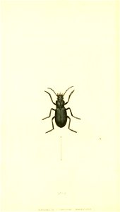 n369_w1150