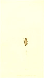 n249_w1150