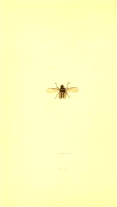 n59_w1150