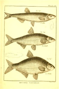 n448_w1150