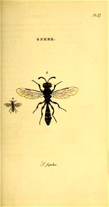 n94_w1150