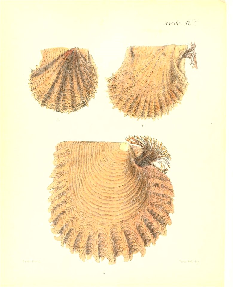n501_w1150