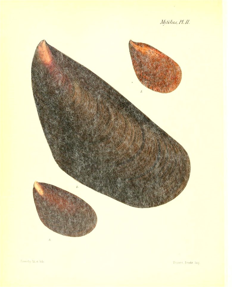 n369_w1150