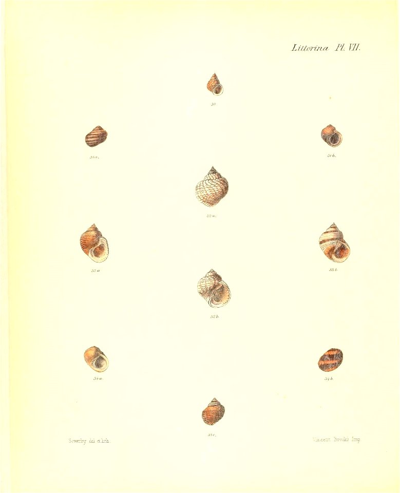 n229_w1150
