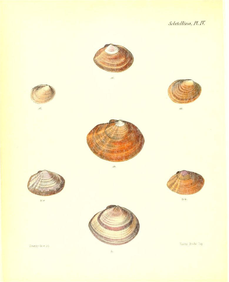 n293_w1150