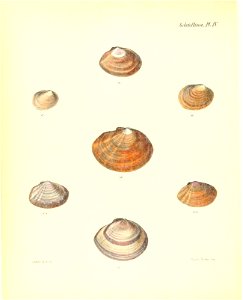 n293_w1150