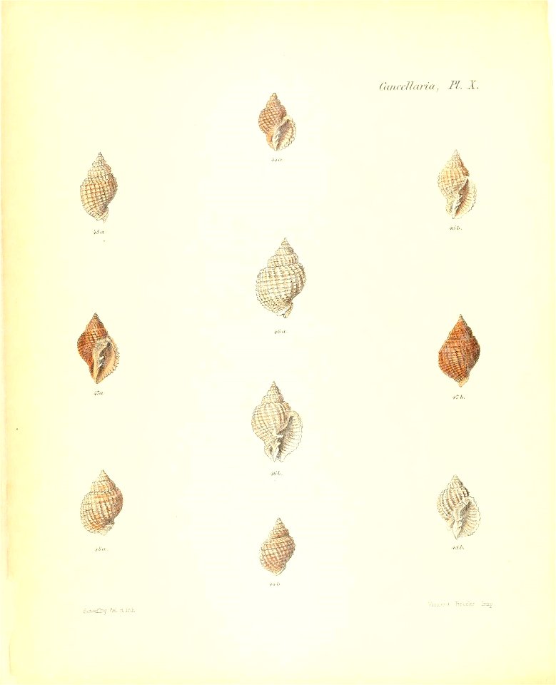 n165_w1150