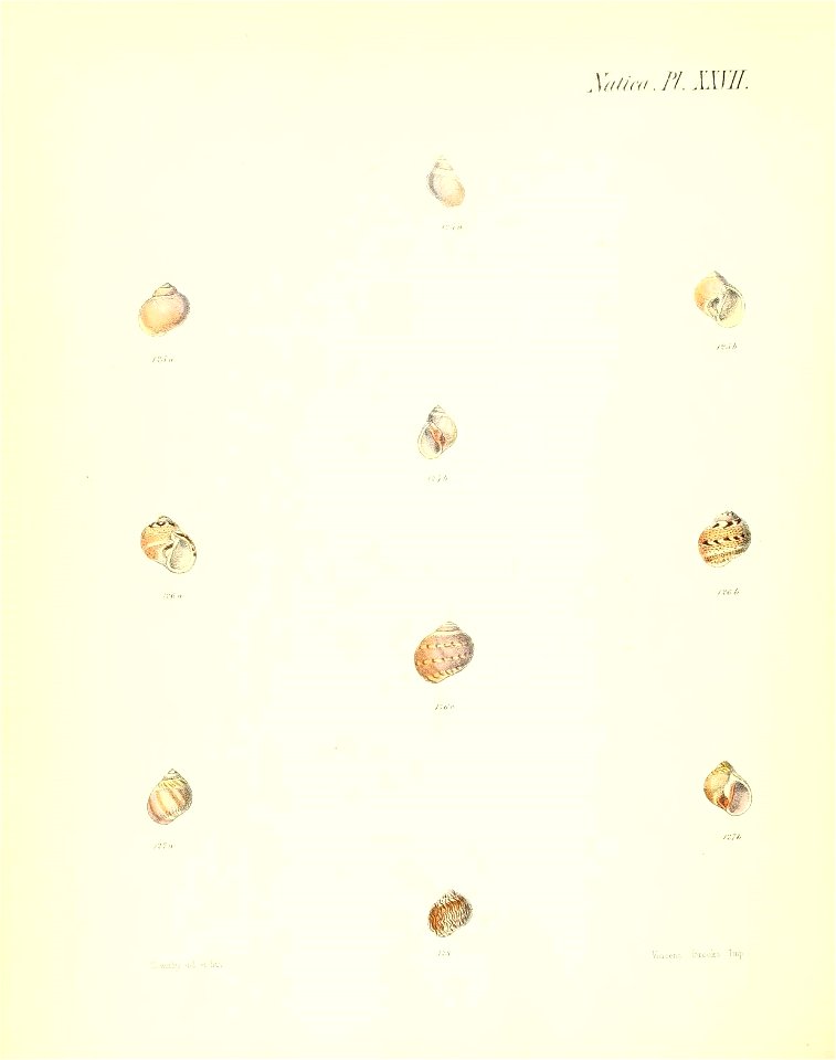 n343_w1150