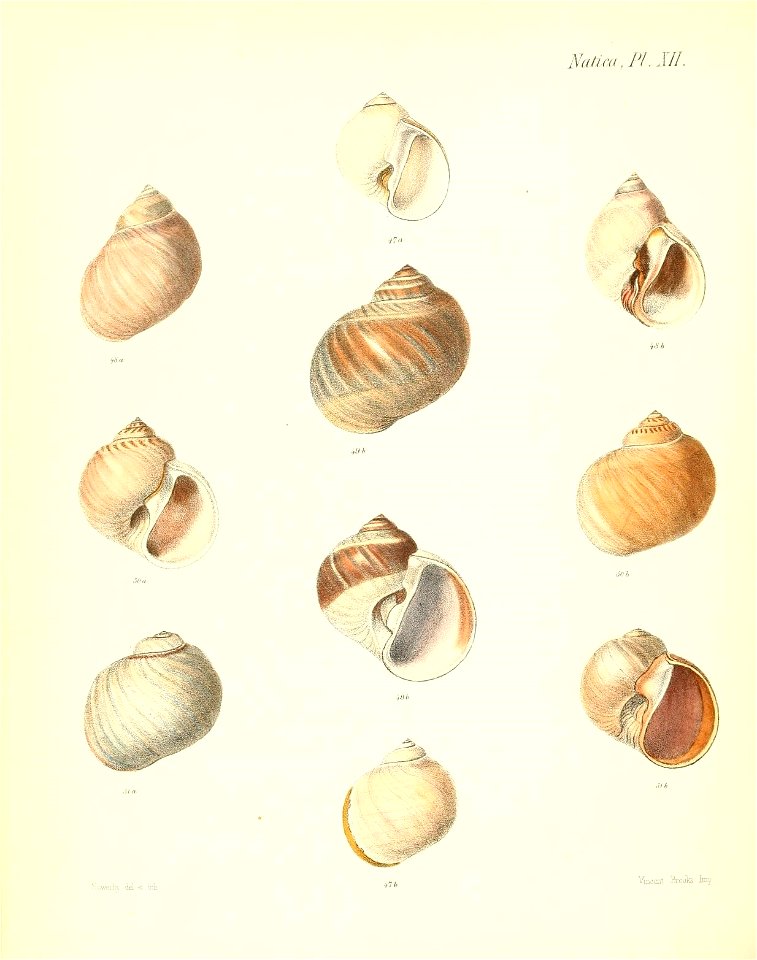 n283_w1150
