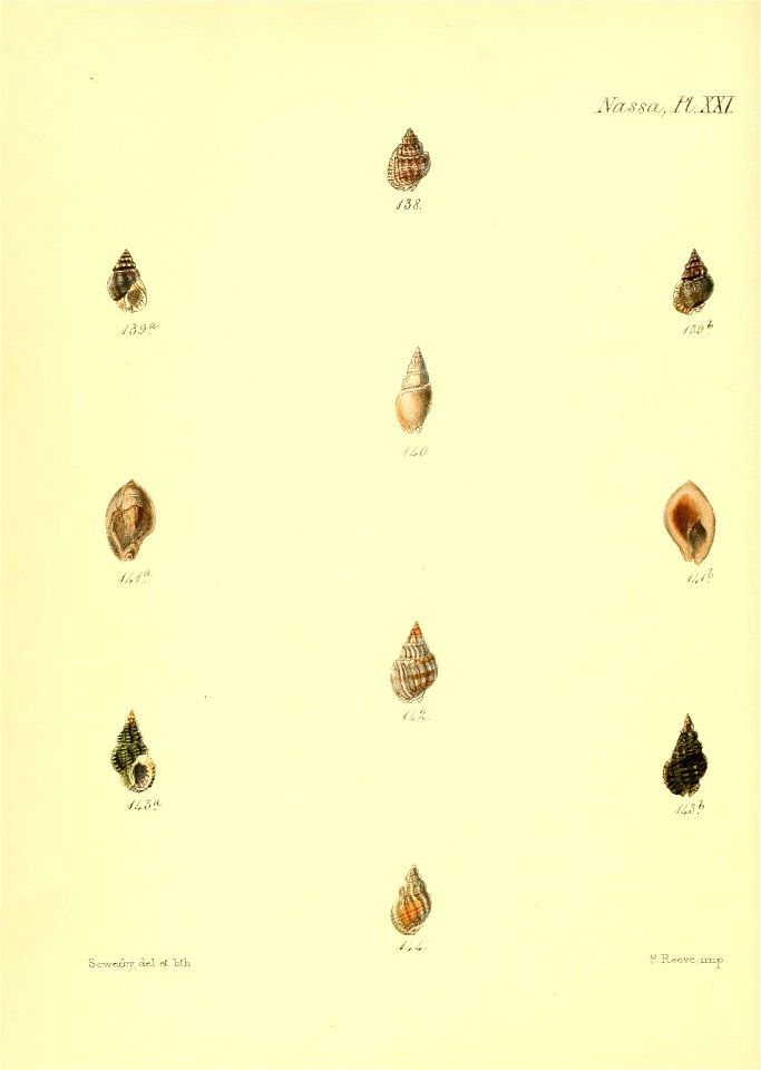 n615_w1150