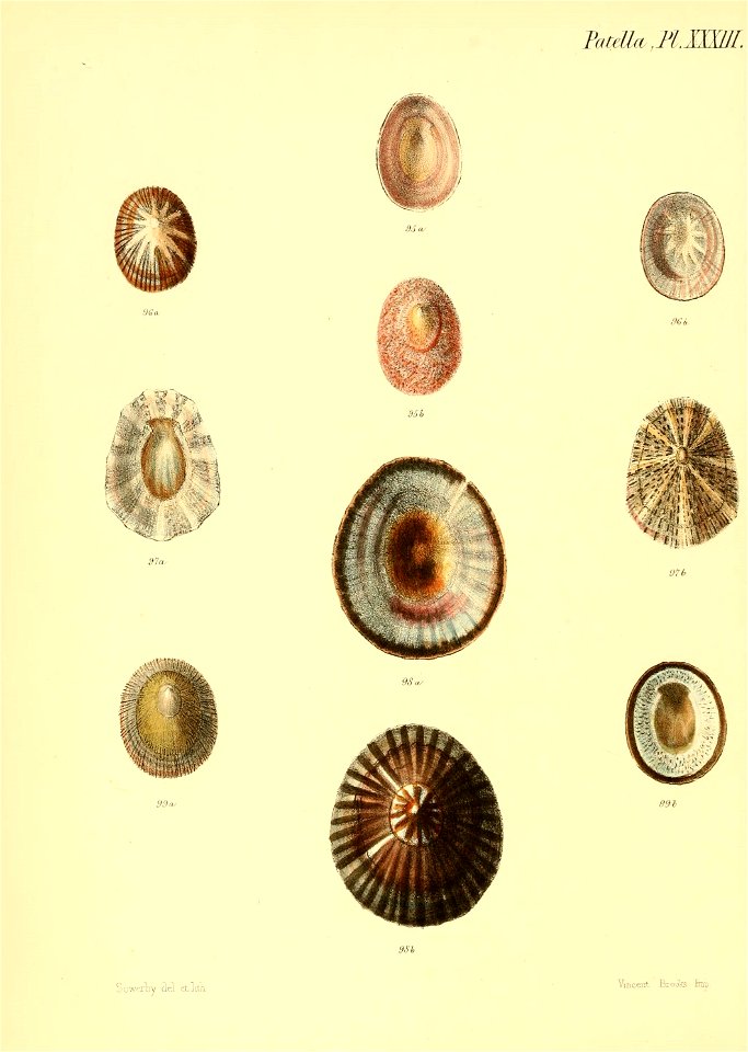 n491_w1150