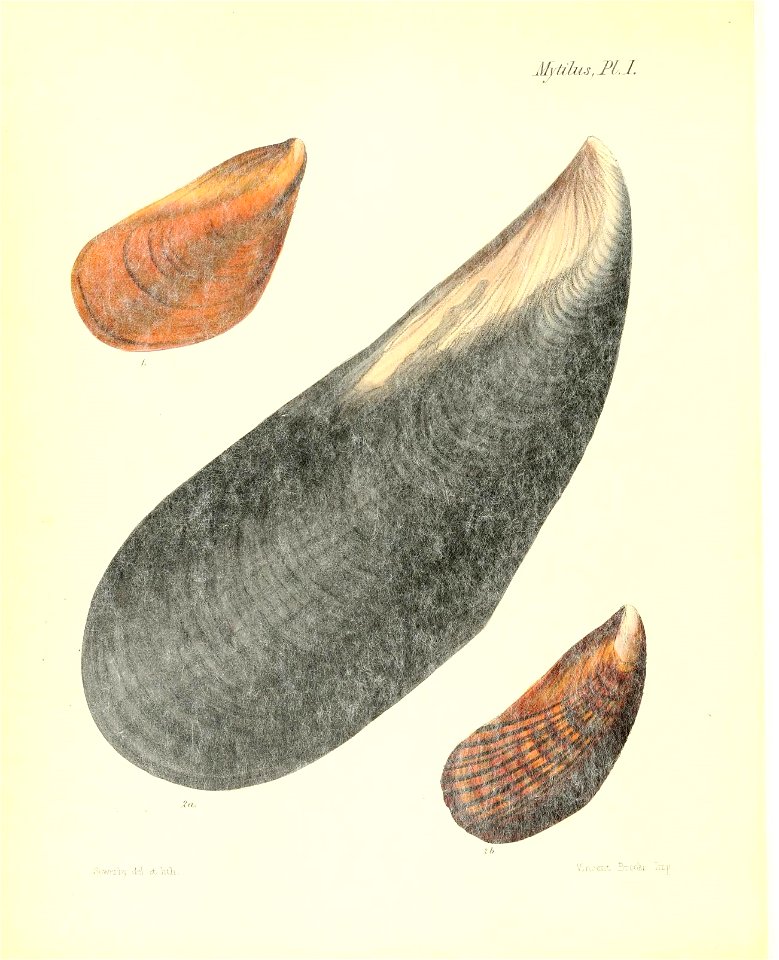 n365_w1150