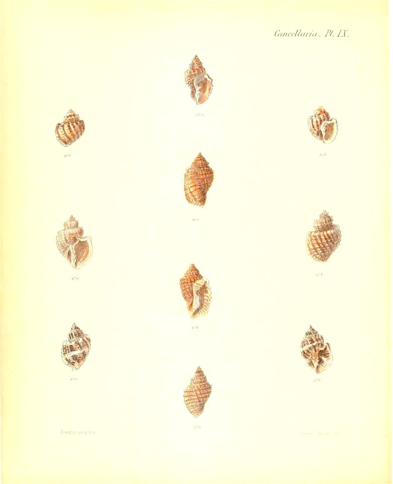 n161_w1150