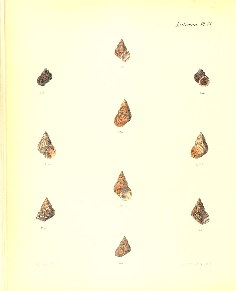 n225_w1150