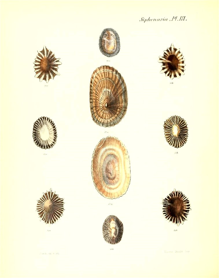n407_w1150