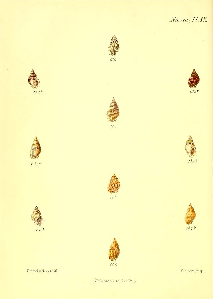 n611_w1150