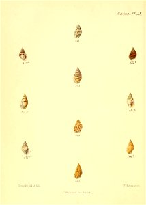 n611_w1150