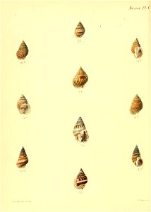 n551_w1150