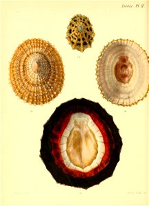 n367_w1150