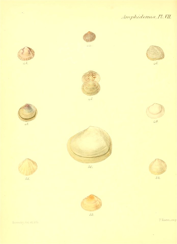n295_w1150