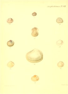 n295_w1150