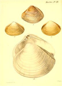 n167_w1150