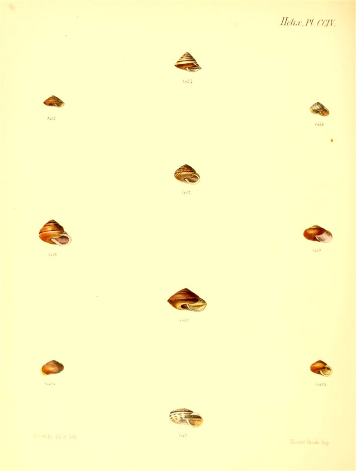 n851_w1150