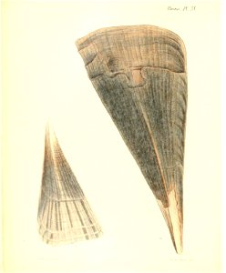 n67_w1150